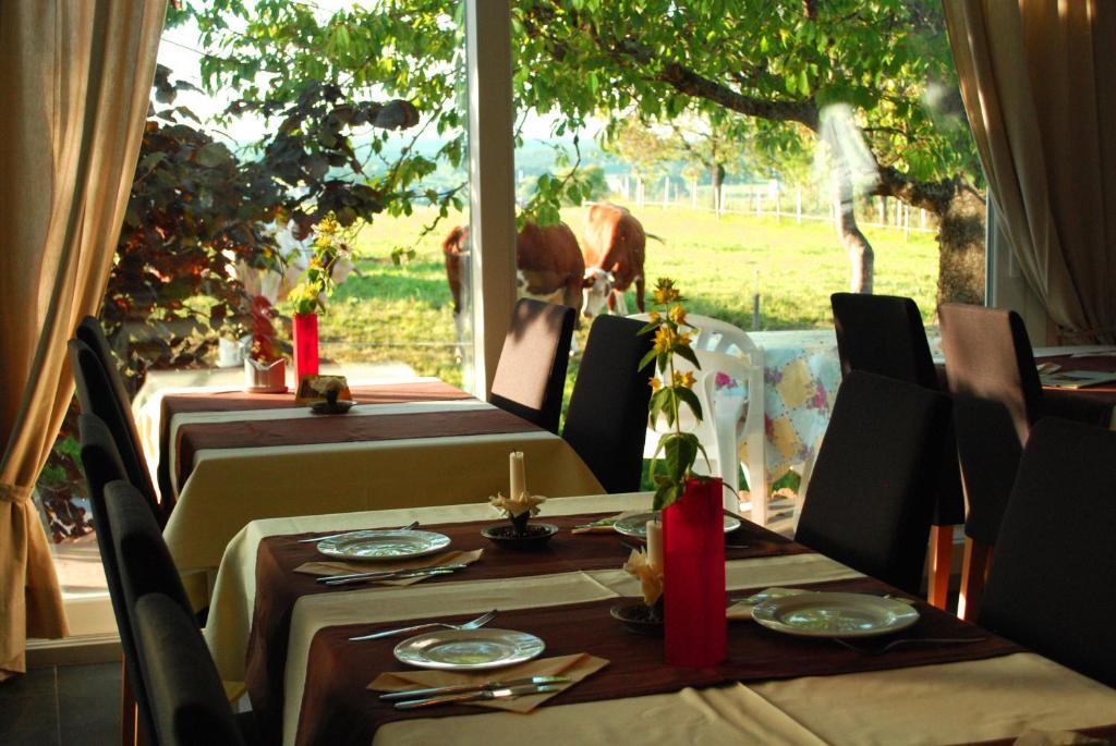 Wellnesshotel Schiesselhof グラーフェンハウゼン 部屋 写真
