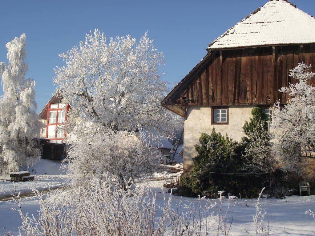 Wellnesshotel Schiesselhof グラーフェンハウゼン エクステリア 写真